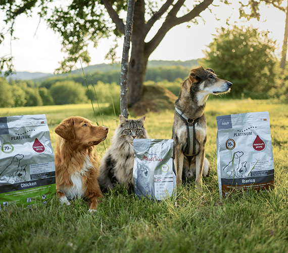 Tierfuttermarkt im Umbruch: „Online wächst schneller als jedes Regal: Die Zukunft der Tiernahrung entsteht im Direktvertrieb“